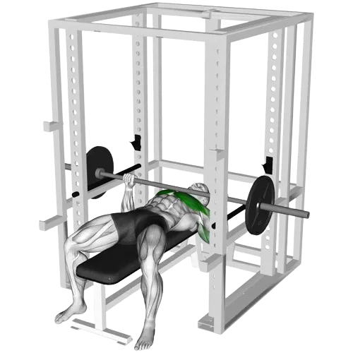 bench-pin-press