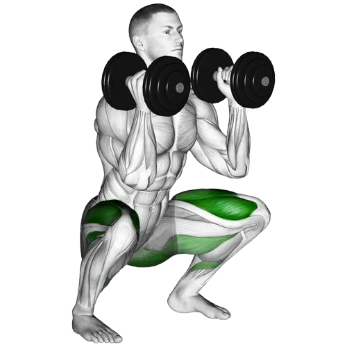 dumbbell-front-squat