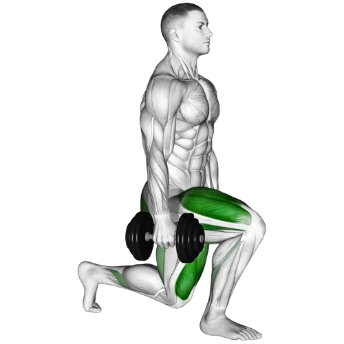 dumbbell-split-squat