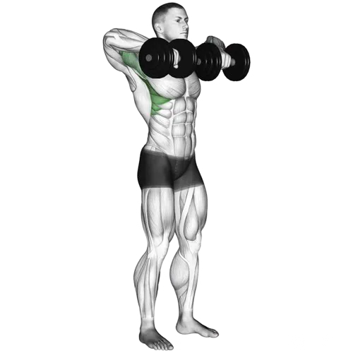 dumbbell-upright-row