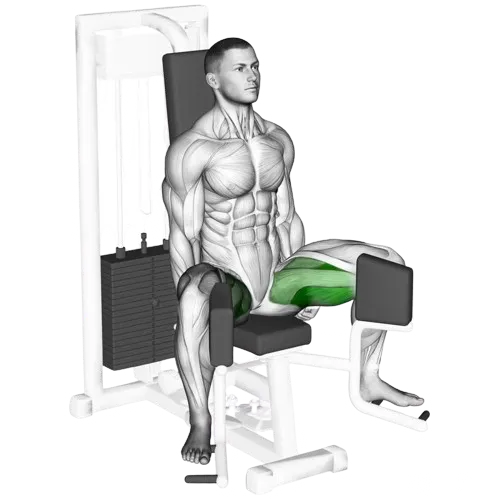 hip-adduction