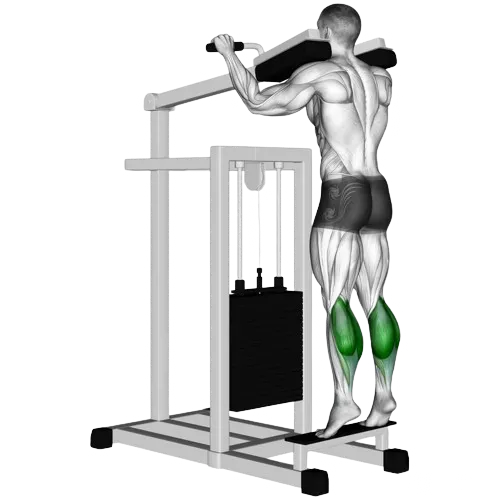 machine-calf-raise