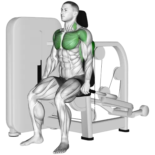 seated-dips-machine