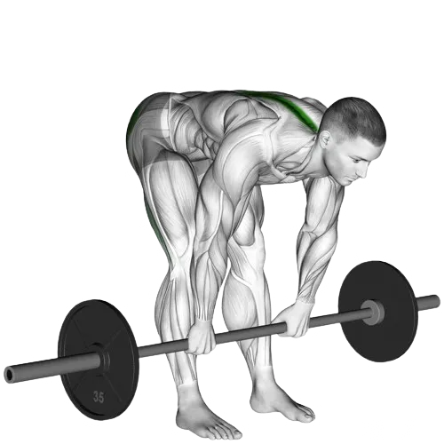 stiff-leg-deadlift