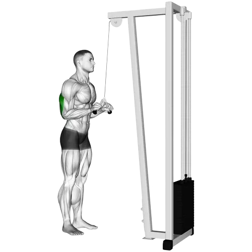 tricep-pushdown